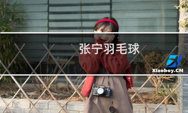 张宁羽毛球图片