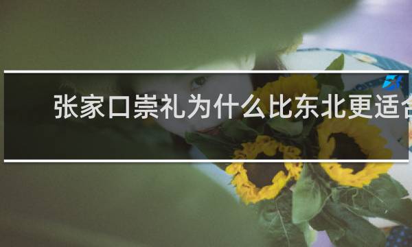 张家口崇礼为什么比东北更适合滑雪