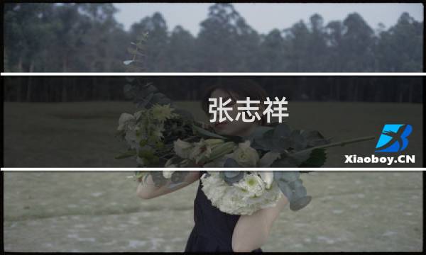 张志祥(张志祥的个人简介?)