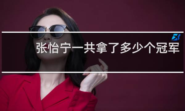 张怡宁一共拿了多少个冠军