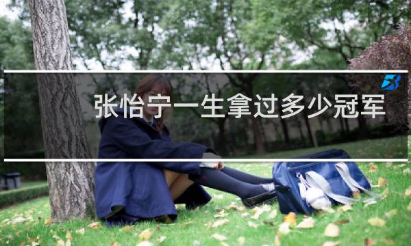 张怡宁一生拿过多少冠军