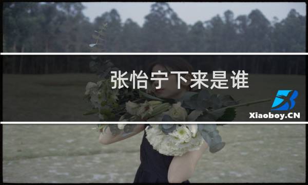 张怡宁下来是谁