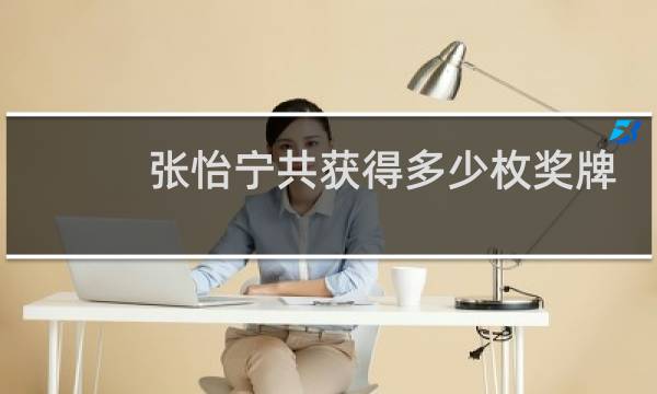 张怡宁共获得多少枚奖牌
