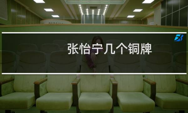 张怡宁几个铜牌