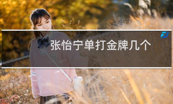 张怡宁单打金牌几个