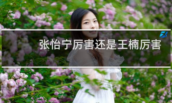 张怡宁厉害还是王楠厉害