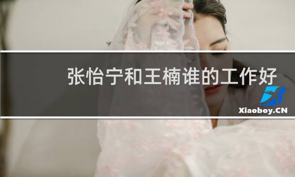 张怡宁和王楠谁的工作好