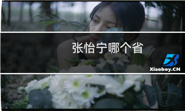 张怡宁哪个省