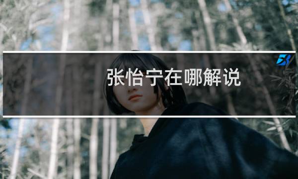 张怡宁在哪解说