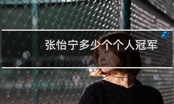 张怡宁多少个个人冠军