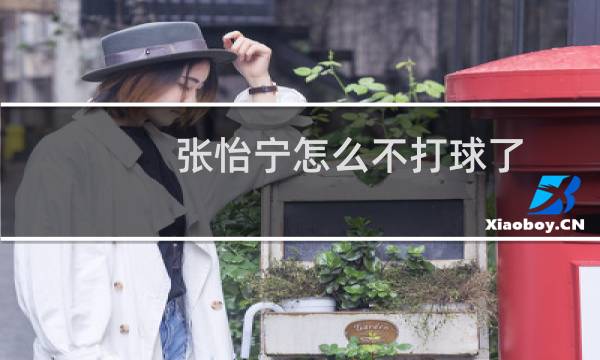 张怡宁怎么不打球了