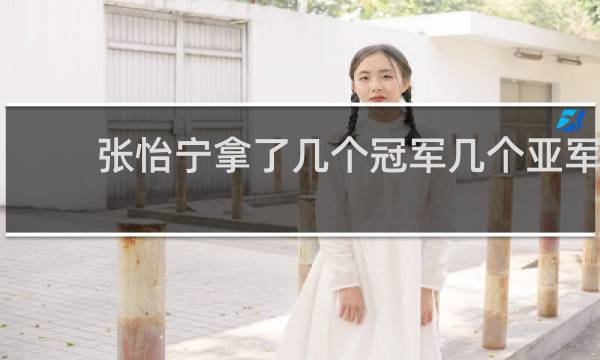 张怡宁拿了几个冠军几个亚军