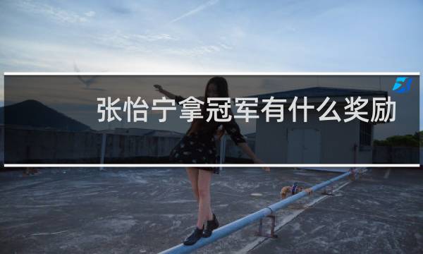 张怡宁拿冠军有什么奖励