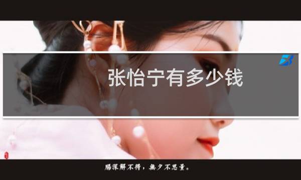 张怡宁有多少钱