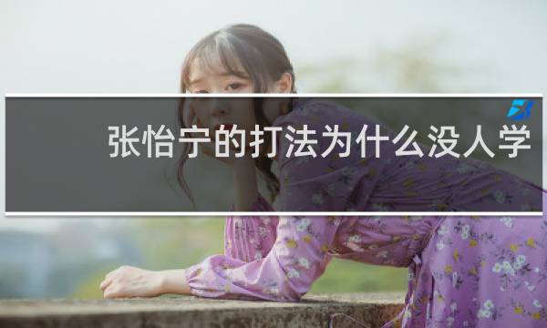 张怡宁的打法为什么没人学