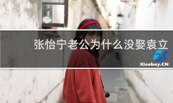 张怡宁老公为什么没娶袁立