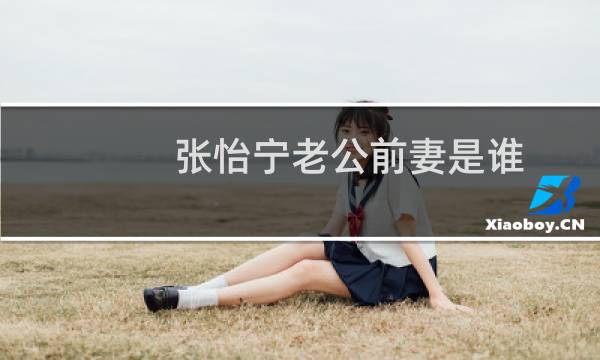 张怡宁老公前妻是谁
