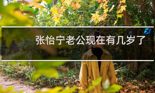 张怡宁老公现在有几岁了