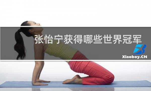 张怡宁获得哪些世界冠军