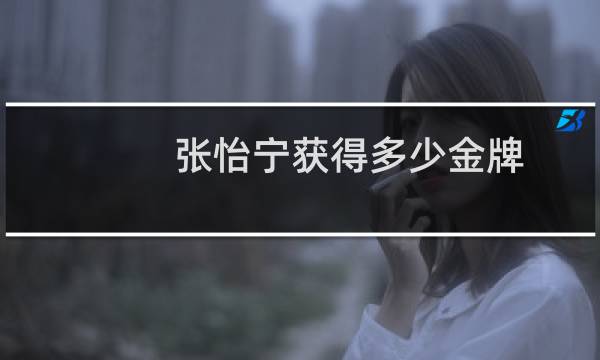 张怡宁获得多少金牌