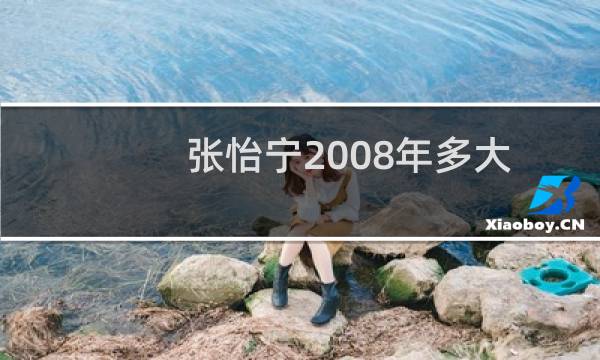 张怡宁2008年多大