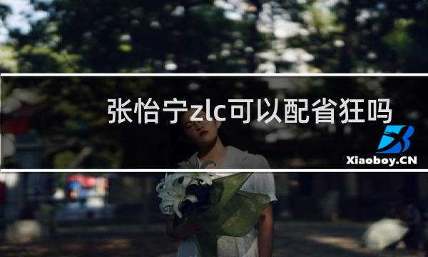 张怡宁zlc可以配省狂吗