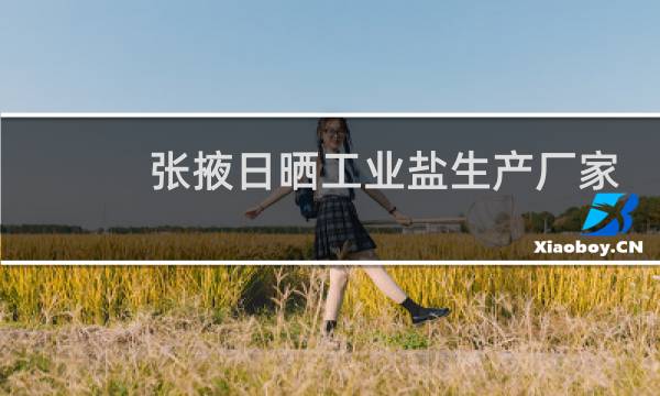 张掖日晒工业盐生产厂家图片