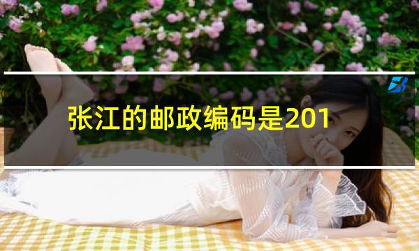 张江的邮政编码是201203图片