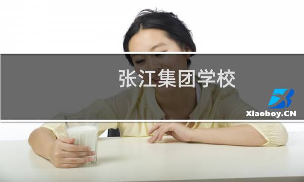 张江集团学校