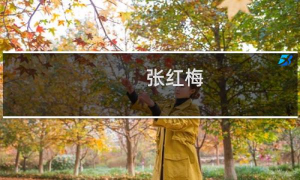 张红梅(张红梅的个人简历?)