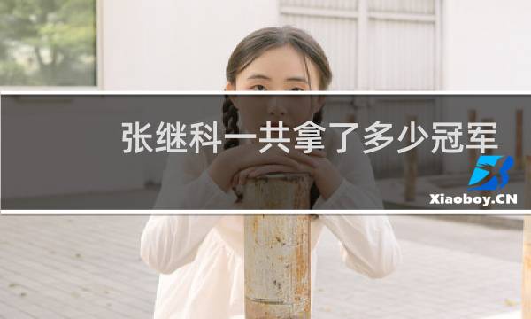张继科一共拿了多少冠军