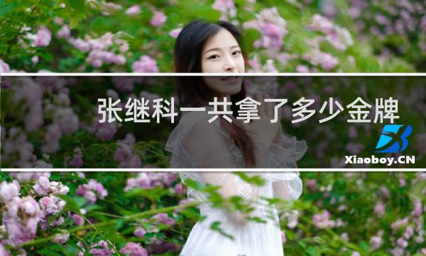 张继科一共拿了多少金牌