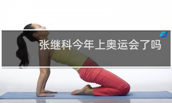 张继科今年上奥运会了吗