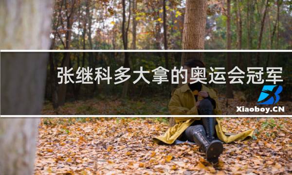 张继科多大拿的奥运会冠军