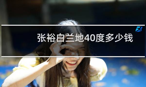 张裕白兰地40度多少钱一瓶