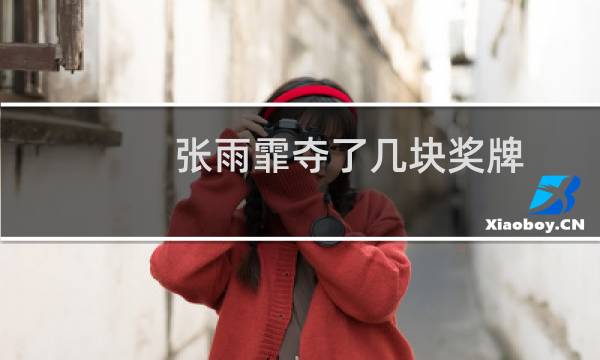 张雨霏夺了几块奖牌