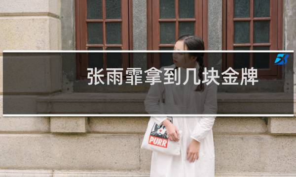 张雨霏拿到几块金牌