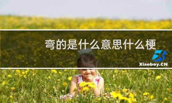 弯的是什么意思什么梗
