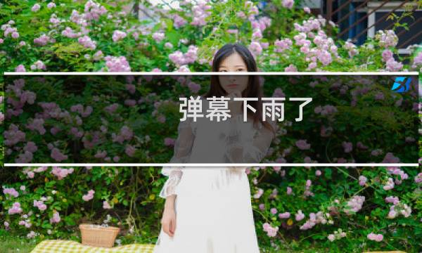 弹幕下雨了 原来你把我整无语了什么梗