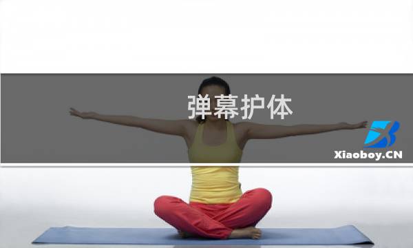 弹幕护体 弹幕护体什么梗