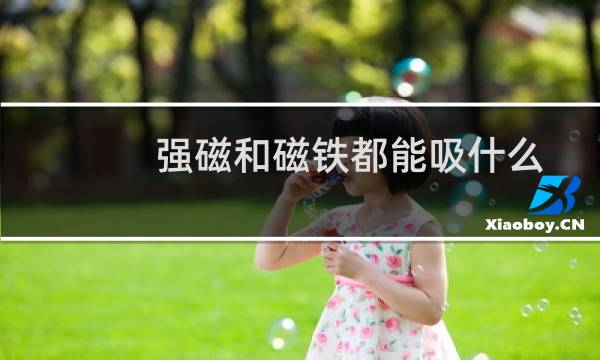 强磁和磁铁都能吸什么