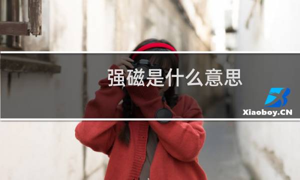 强磁是什么意思