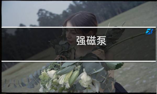 强磁泵