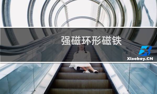 强磁环形磁铁