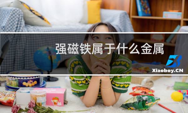 强磁铁属于什么金属
