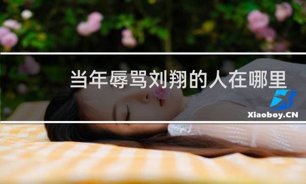 当年辱骂刘翔的人在哪里
