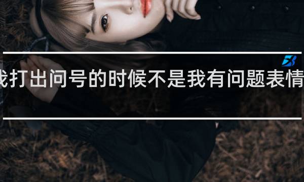 当我打出问号的时候不是我有问题表情包什么梗