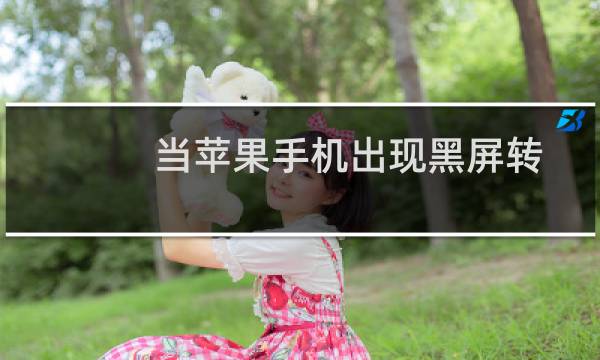 当苹果手机出现黑屏转小圈圈时你应该这样做