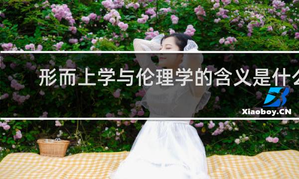 形而上学与伦理学的含义是什么
