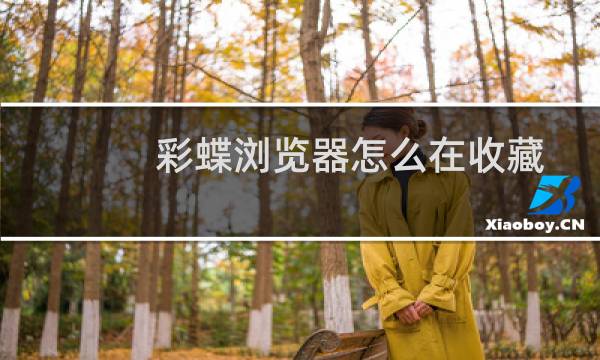 彩蝶浏览器怎么在收藏夹中新建文件夹?